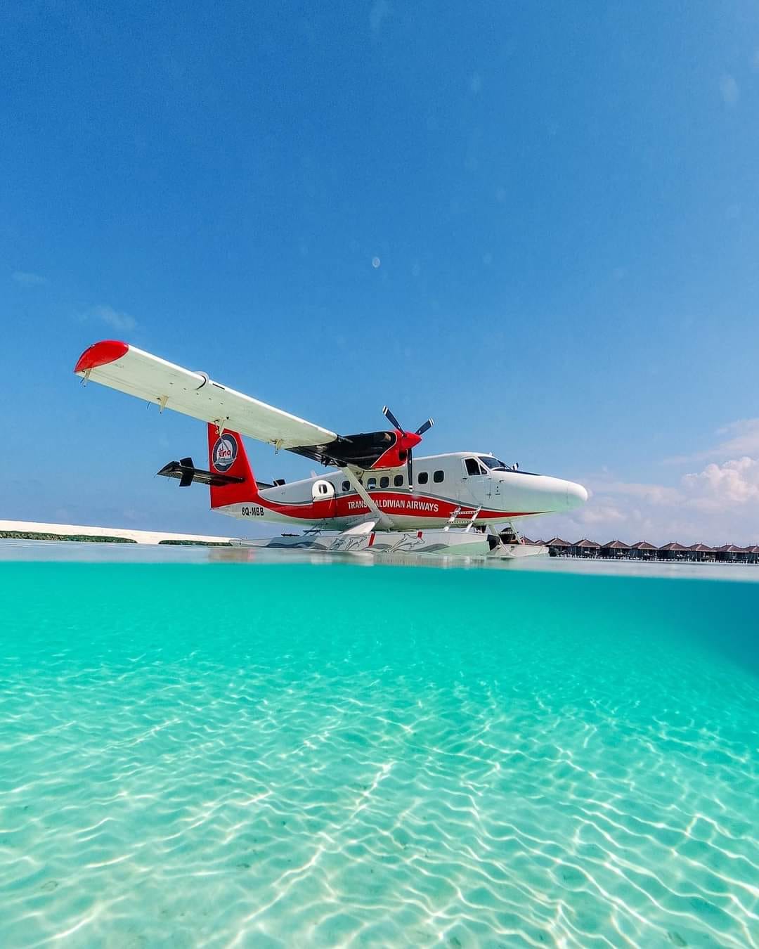 ¡Muchas gracias por tu apoyo!