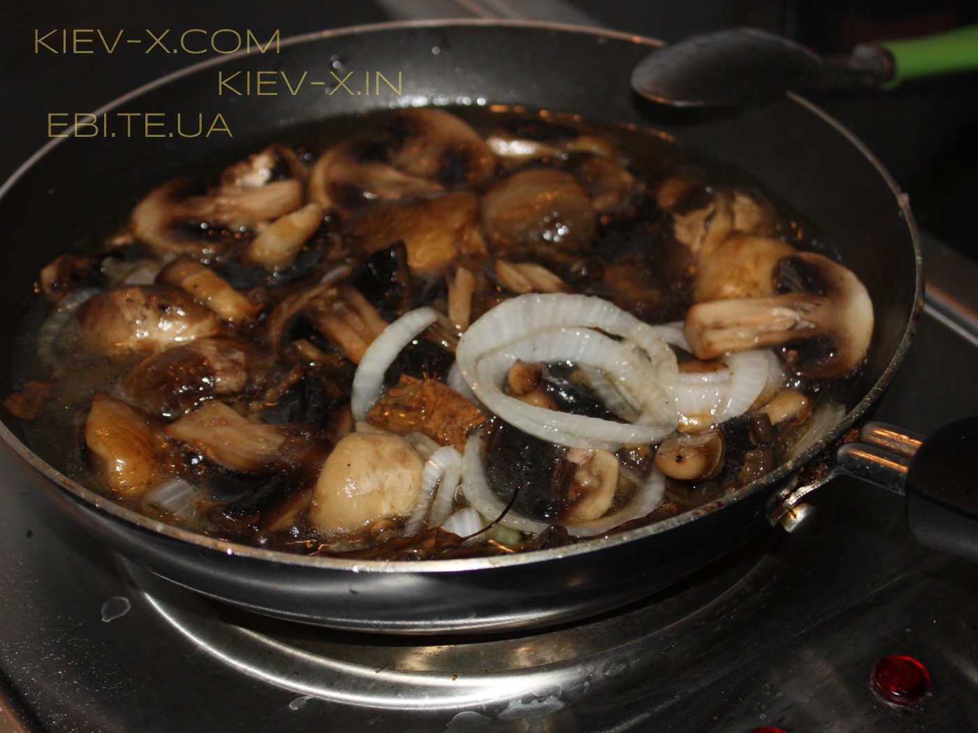 Zum Andenken an die Welt, die wir verloren haben. Was wir einst besaßen. Was wir erhoffen. Wovon wir begeistert träumen.